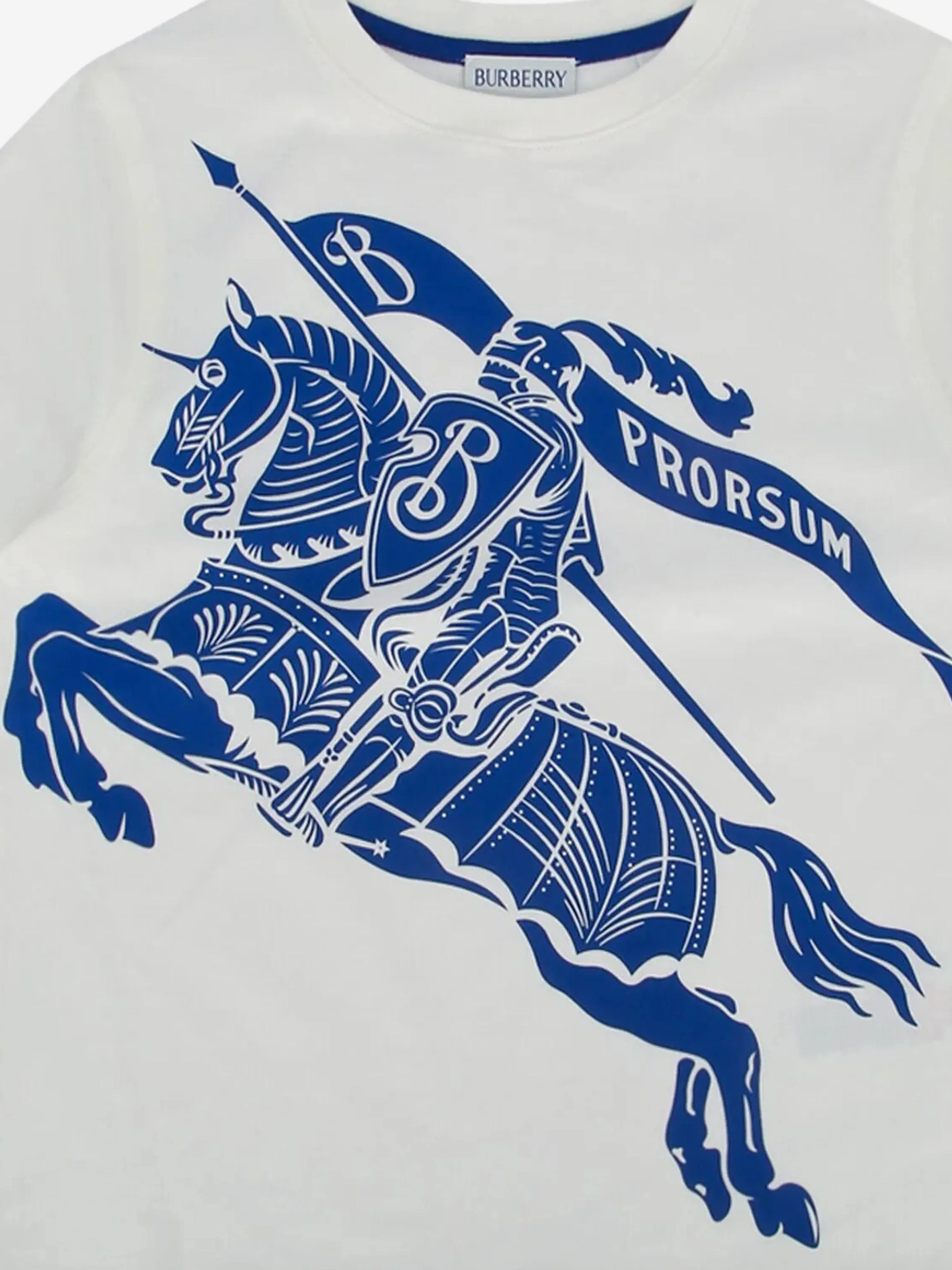 Kids Cedar Knight T-Shirt in White